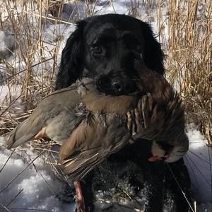 Meet your Posher, Josh